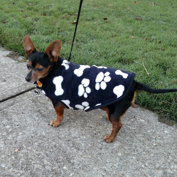 Meet your Posher, Marla - Picture 5 of 11